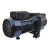 Shallow Deep Well Jet Pump 1HP 10.57GPM 216ft 110v/60Hz Jet Water Pump Stainless Steel Jet Pump to Supply Fresh Well Water